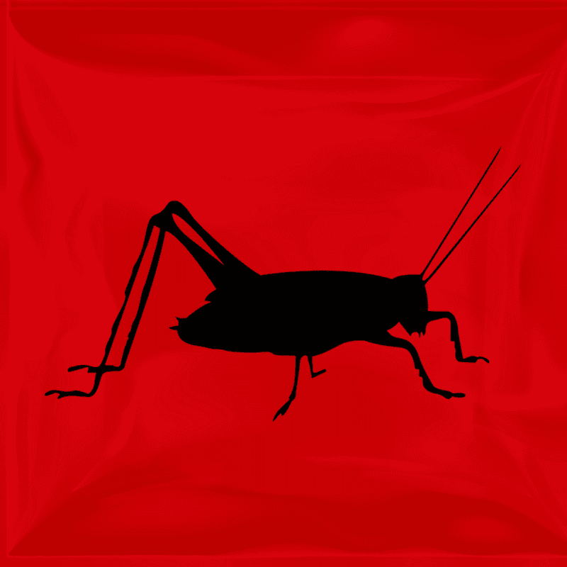 Pinhead Crickets (500 Per Box) Shop Live Crickets Online at Rodent Pro